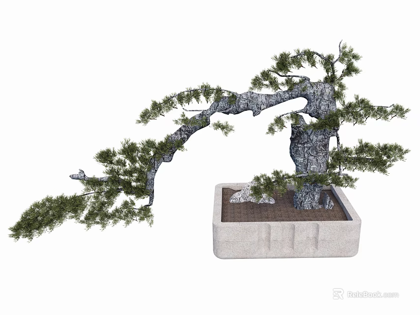 Bonsai Plant With Curved Branches Lush Green Foliage In Rectangular Stone Pot 3d model 