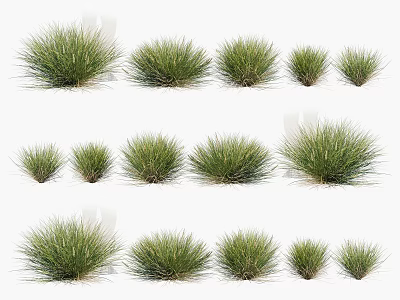 Green Grass Plants in Different Sizes Multiple Clusters Natural Growth Arrangement 3d model