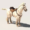 Detailed White Horse Side Profile With Brown Saddle And Leather Harness Standing