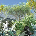 Lush Shrubs With Green Foliage White Flowers Yellow Trees And Rocks In Natural Garden