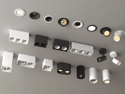 Modern Downlights And Spotlights With Various Styles And Black White Gold Finishes 3d model