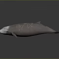 Dolphin Sculpture With Cracked Surface Design And Metallic Finish On Dark Background 3d model