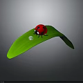Vibrant Red Ladybug Perched On Curved Green Leaf With Shiny Dewdrop 3d model