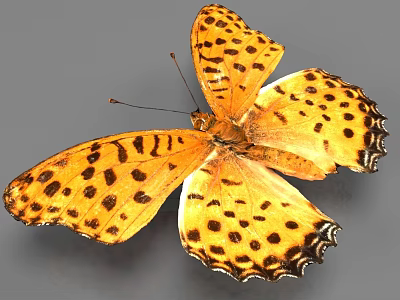 Vibrant Yellow Butterfly with Black Spots and Distinct Patterns on Spread Wings 3d model