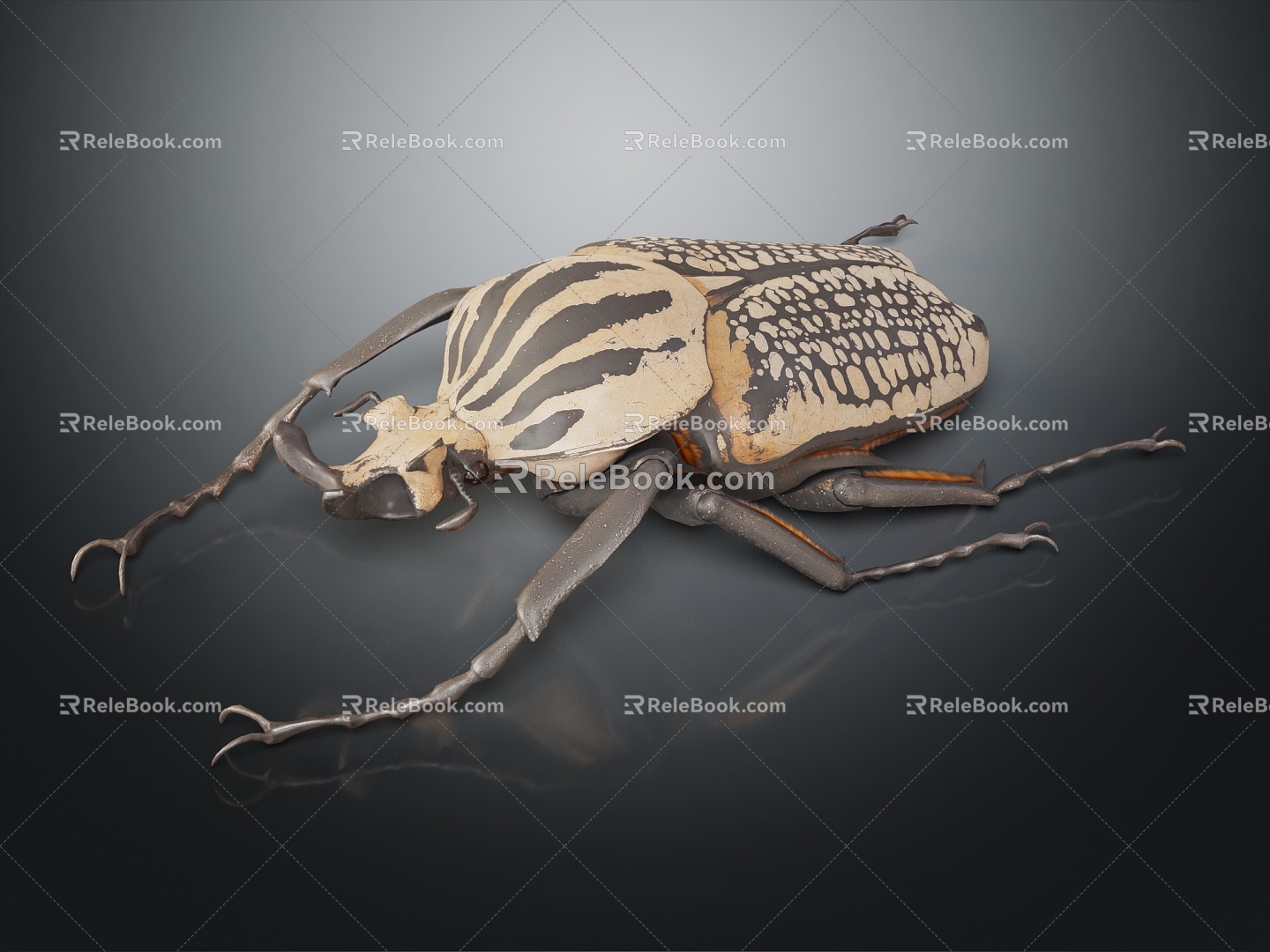 Modern Scarab King Flower Golden Turtle Tiger Pattern Big Horned Flower Golden Turtle 3d model