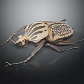 Striped Flying Beetle Showcasing Detailed Exoskeleton Texture Antennae And Legs On Dark Background