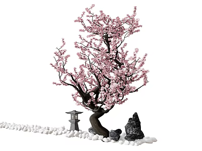 Beautiful Pink Blossom Tree in Garden Landscape With Stone Lantern Rocks and Pebbles 3d model