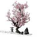 Beautiful Pink Blossom Tree in Garden Landscape With Stone Lantern Rocks and Pebbles