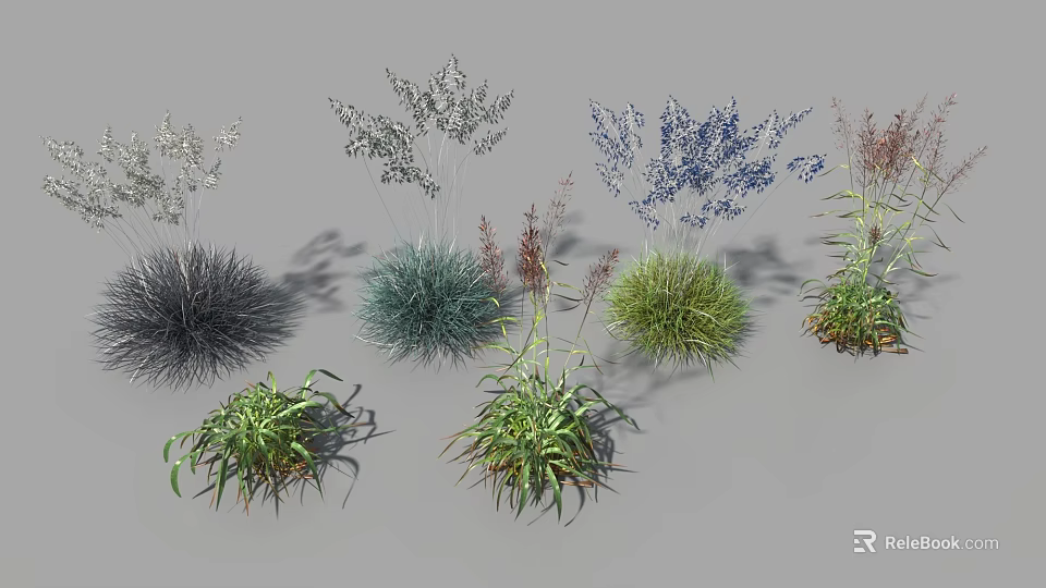 Various Types Of Ornamental Flowers And Plants With Colorful Foliage And Diverse Shapes 3d model 