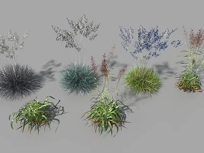 Various Types Of Ornamental Flowers And Plants With Colorful Foliage And Diverse Shapes 3d model