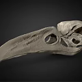 Medical Device 3D Bird Skull Anatomical Model for High Precision Medical Research and Education