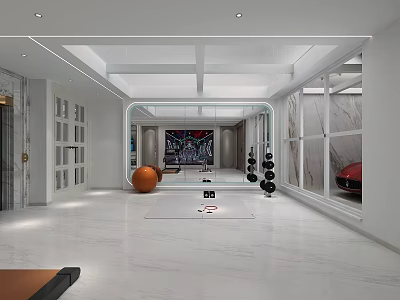 Modern Home Gym Interior With Mirror Wall Dumbbells And Exercise Ball 3d model