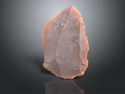 Natural Wood Stone Piece With Irregular Shape And Natural Brown Texture 3d model