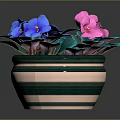 Potted Plant With Blue Purple And Pink Flowers Green Leaves In Striped Green Beige Pot