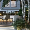 Modern Garden Patio Design With Table Chair Set Birch Trees Green Plants Flowers And Lighting