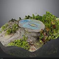 Lush Green Plants Surrounding Tree Stump With Small Blue Water Puddle And Moss