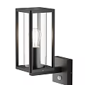 Modern Indoor Wall Light With Black Frame And Clear Glass Shade