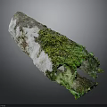 Moss Covered Wooden Log with White Patches Natural Holes and Dark Background