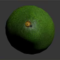 Fresh Green Avocado with Textured Surface and Shiny Appearance on Dark Background