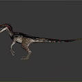 Realistic Velociraptor Dinosaur Model With Black Red Patterned Skin In Running Stance