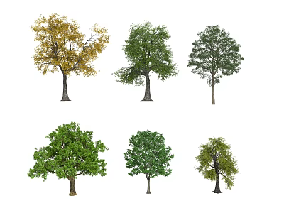 Various Types of Arbor Trees Showcasing Diverse Leaf Colors and Foliage Shapes 3d model