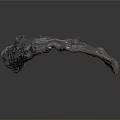 Twisted Plant Root With Natural Texture And Unique Shape On Gray Background