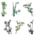 Diverse Bamboo Illustrations Featuring Various Stem Leaf and Branch Design Styles 3d model