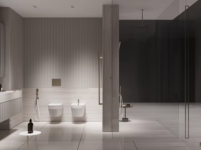 Modern Bathroom Interior Design With Double Toilets Glass Shower And Marble Countertop 3d model
