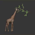 Giraffe Game Movie Character Eating Green Leafy Branch In Animated Scene
