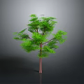 Lush Green Tree With Vibrant Green Leaves And Brown Trunk Against Gray Background