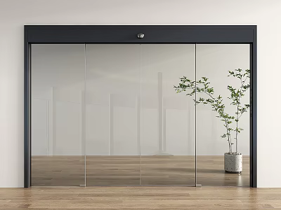 Modern Sliding Glass Door With Black Frame And Potted Plant On Wooden Floor 3d model