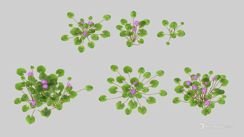 Beautiful Vase Flowers With Purple Small Blooms And Fresh Green Leafy Design 3d model 