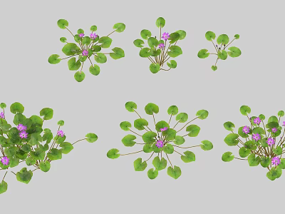 Beautiful Vase Flowers With Purple Small Blooms And Fresh Green Leafy Design 3d model