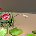 Vibrant Aquatic Plants With Large Green Lotus Leaves And Pink Flowers On Water Surface