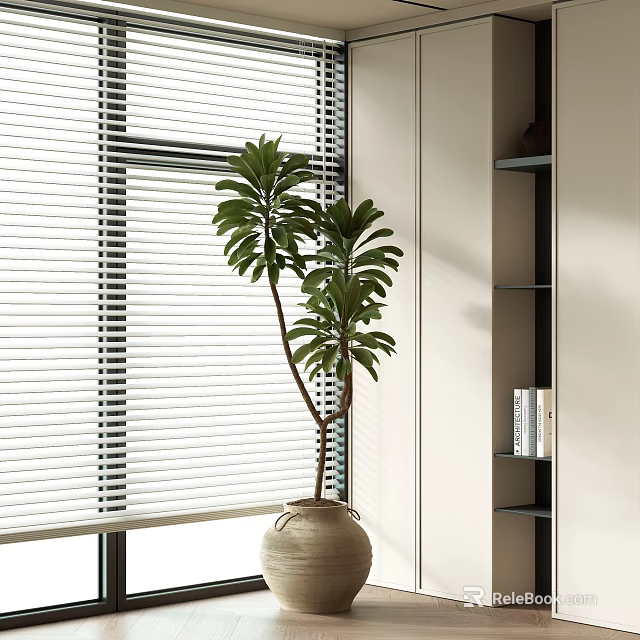 Indoor Decorative Bonsai Potted Plant by Window with Blinds and Bookshelf 3d model 