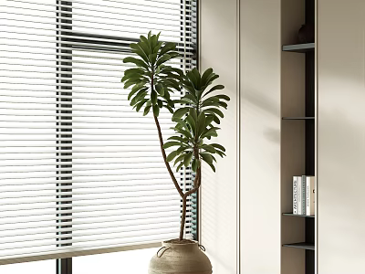 Indoor Decorative Bonsai Potted Plant by Window with Blinds and Bookshelf 3d model