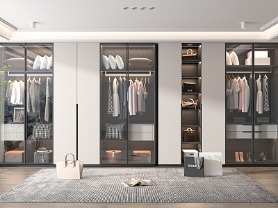 Modern wardrobe model