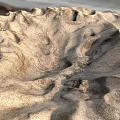 Exquisite Garden Ornaments Featuring Intricate Sand Textures and Natural Wind Patterns