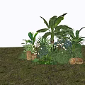 Lush Mixed Green Plants On Grass Ground With Banana Leaves Palm And White Flowers