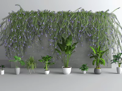 Bonsai Potted Plants Display with Hanging Green Vines Purple Flowers and Various Small Potted Plants 3d model