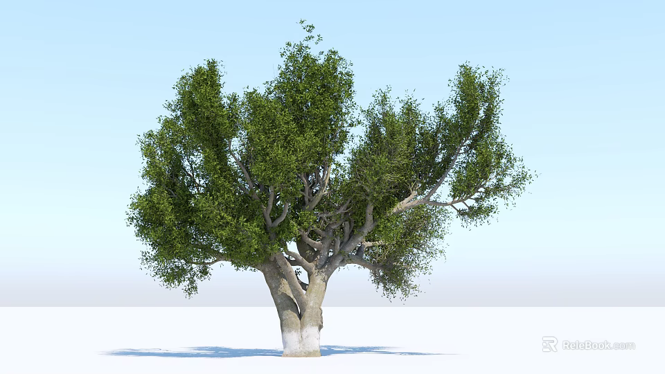 Lush Green Arbor With Thick Trunk Dense Foliage And Clear Blue Sky Background 3d model