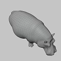 Realistic 3D Hippopotamus Figure With Detailed Skin Texture And Natural Standing Pose