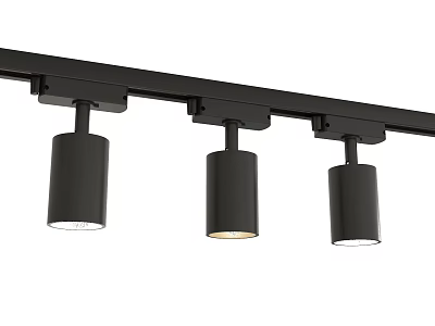 Black Track Mounted Downlights Spotlights Modern Design for Interior Lighting 3d model