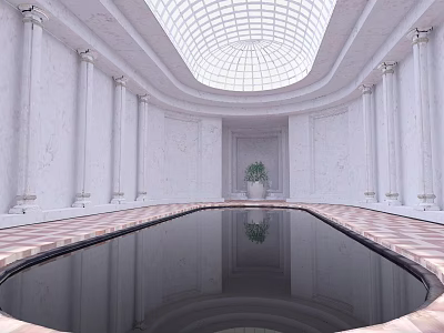 Elegant Indoor Swimming Pool With White Columns Glass Dome Ceiling Patterned Floor And Potted Plant 3d model