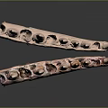 Prehistoric Animal Fossil With Spiked Bones And Ancient Skeletal Structure
