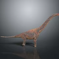 Rusty Brown Long Neck Dinosaur Model Standing With Raised Head On Gray Background