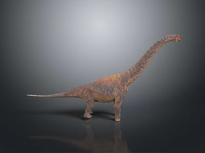 Brachiosaurus Dinosaur Ancient Biological Pterosaur Longnecked Tyrannosaurus Rex 3d model