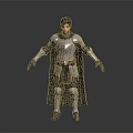 Woman In Medieval Plate Armor With Long Cape Standing In 3D Rendered Character Pose