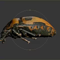 Beetle Scarab Insect Animal Game Animal Cartoon Animal 3d model