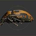 Beetle Beetle Scarab Insect Animal Game Animal Cartoon Animal Animal 3d model